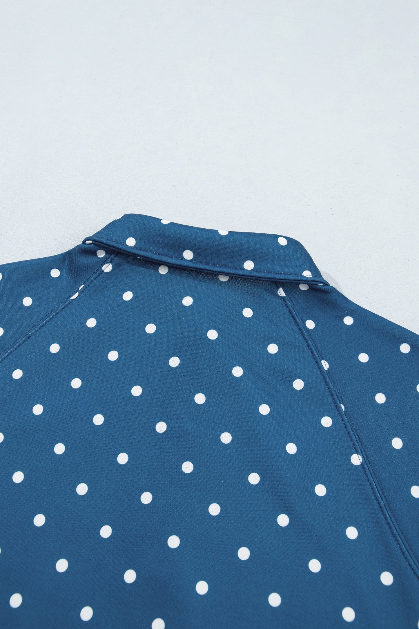 Brown Polka Dot Print Metal Button Collar Casual Pullover Sweatshirt