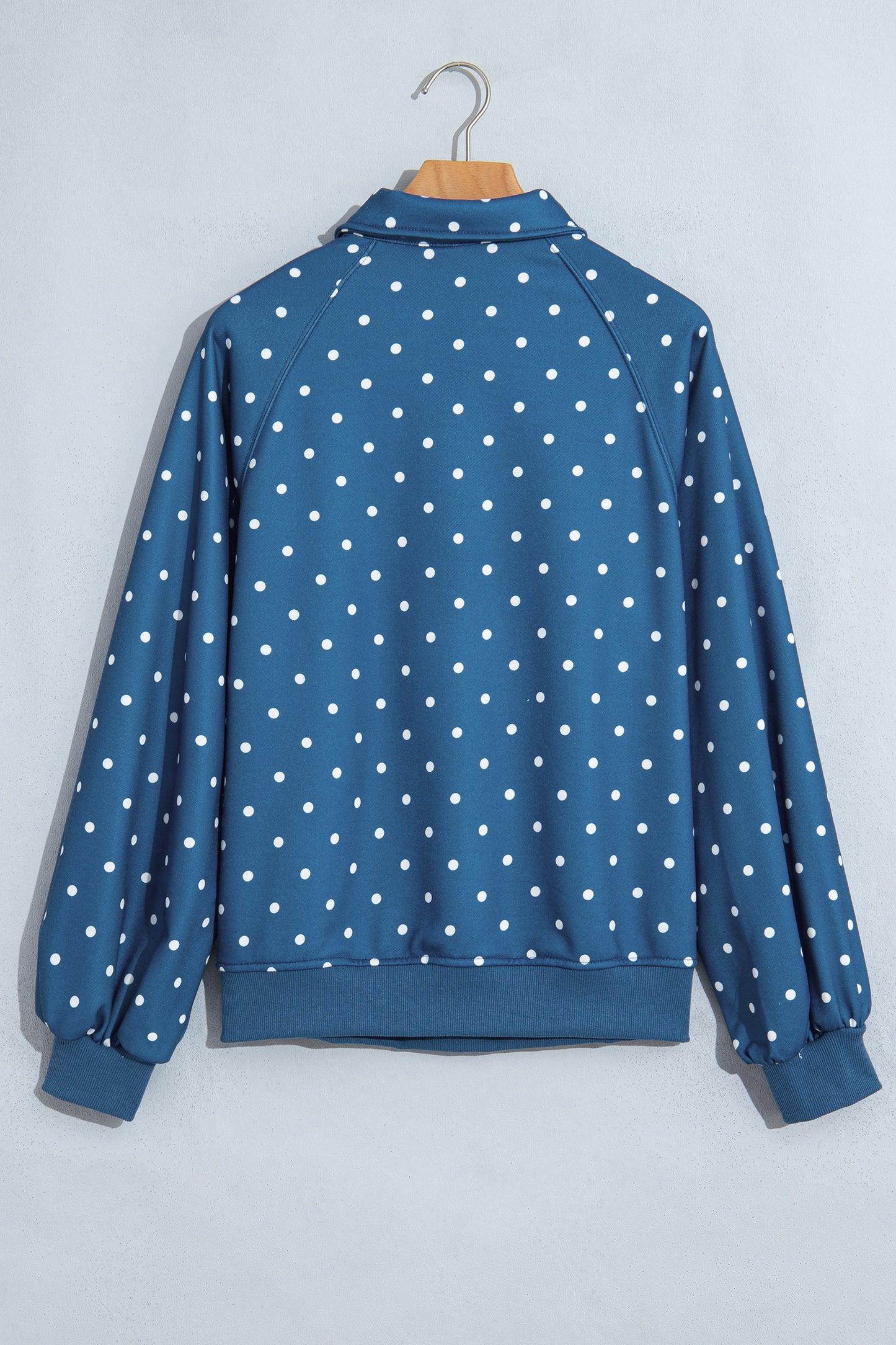 Brown Polka Dot Print Metal Button Collar Casual Pullover Sweatshirt